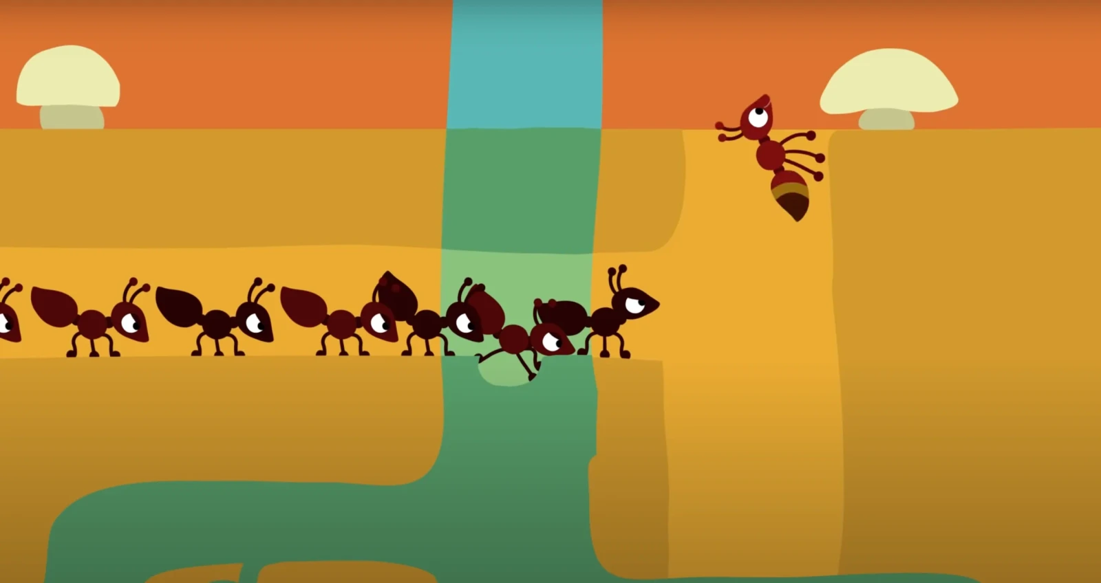Ant