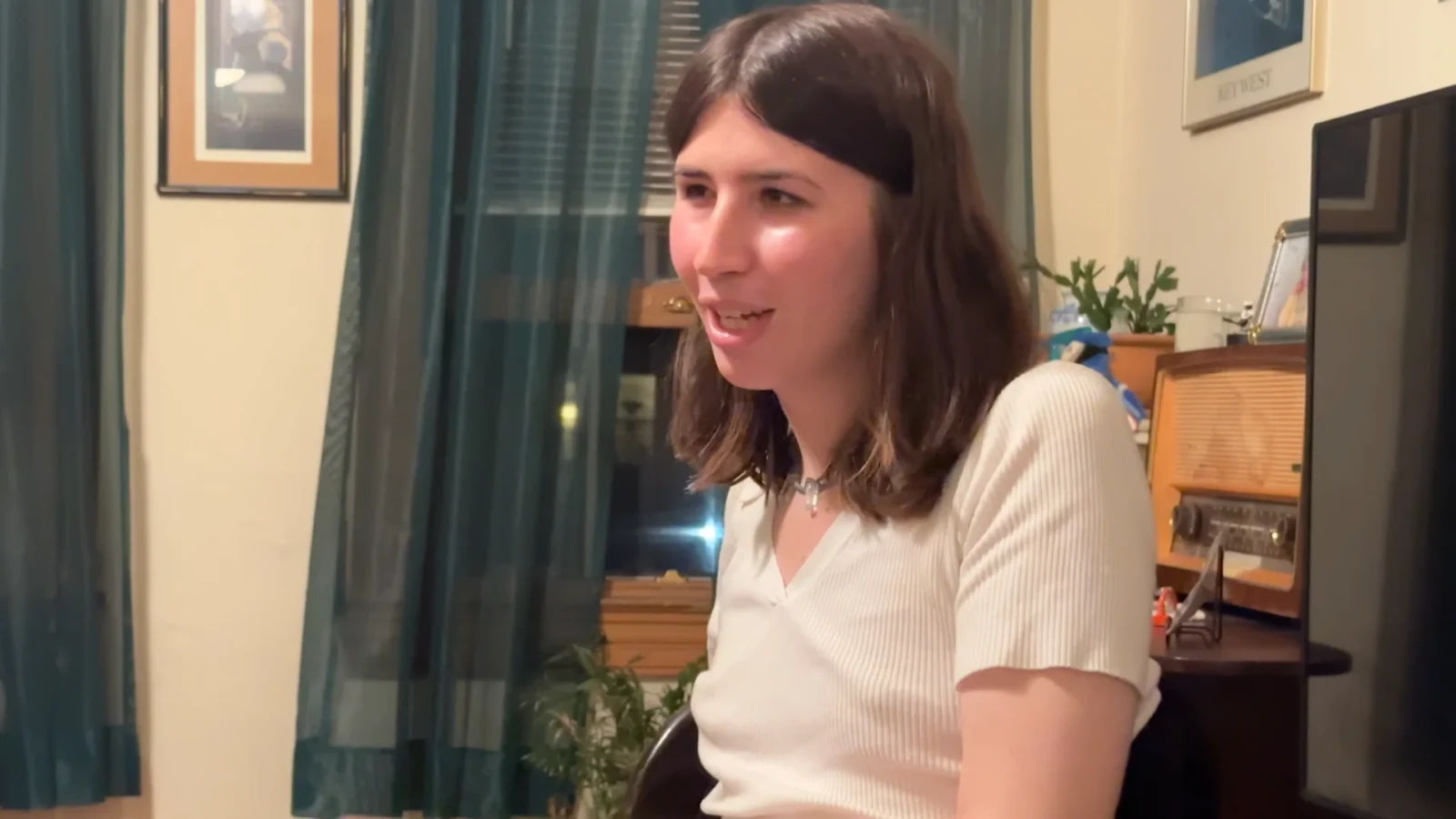 Application To Be Lars Von Trier's "Female Girlfriend/Muse"