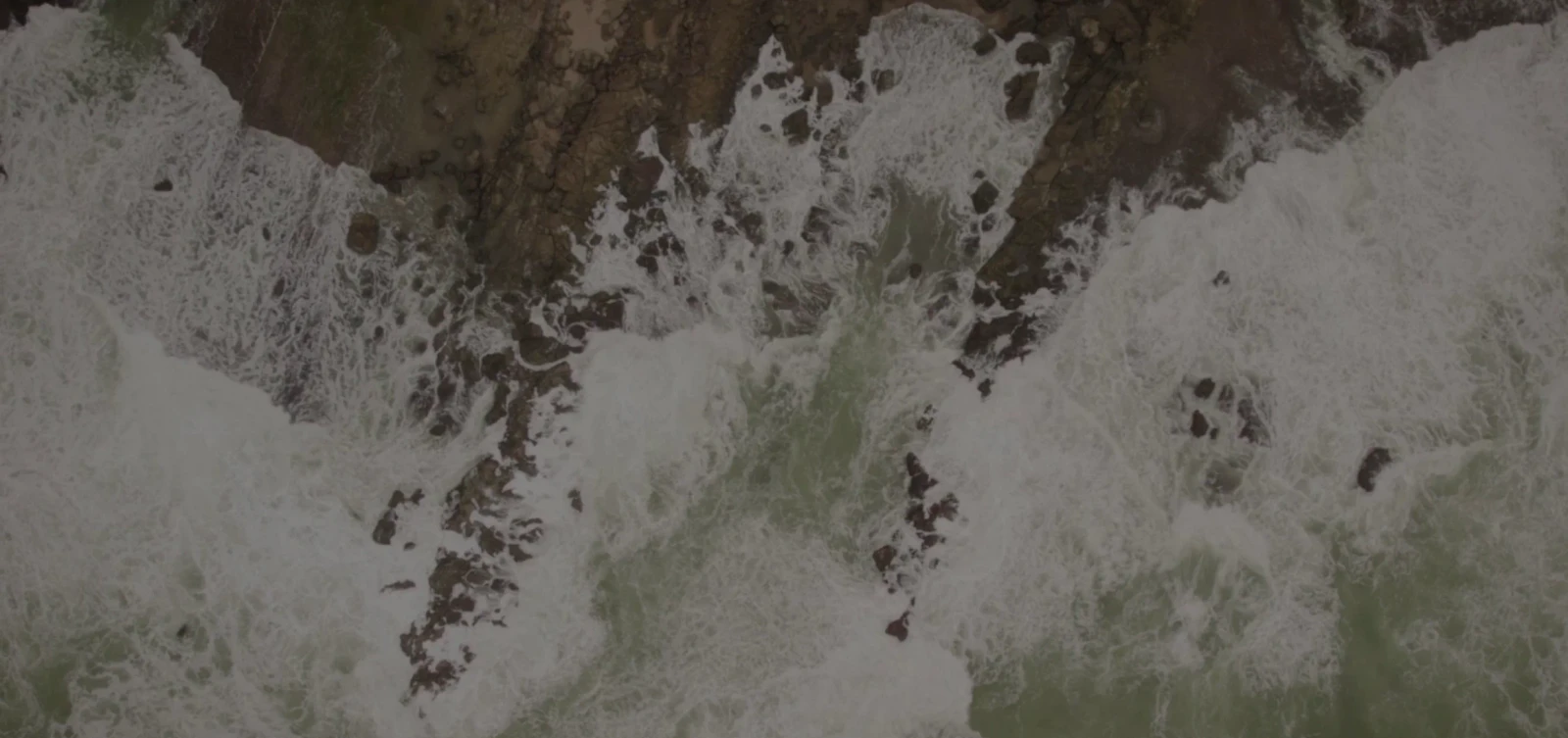 The Wave Saga