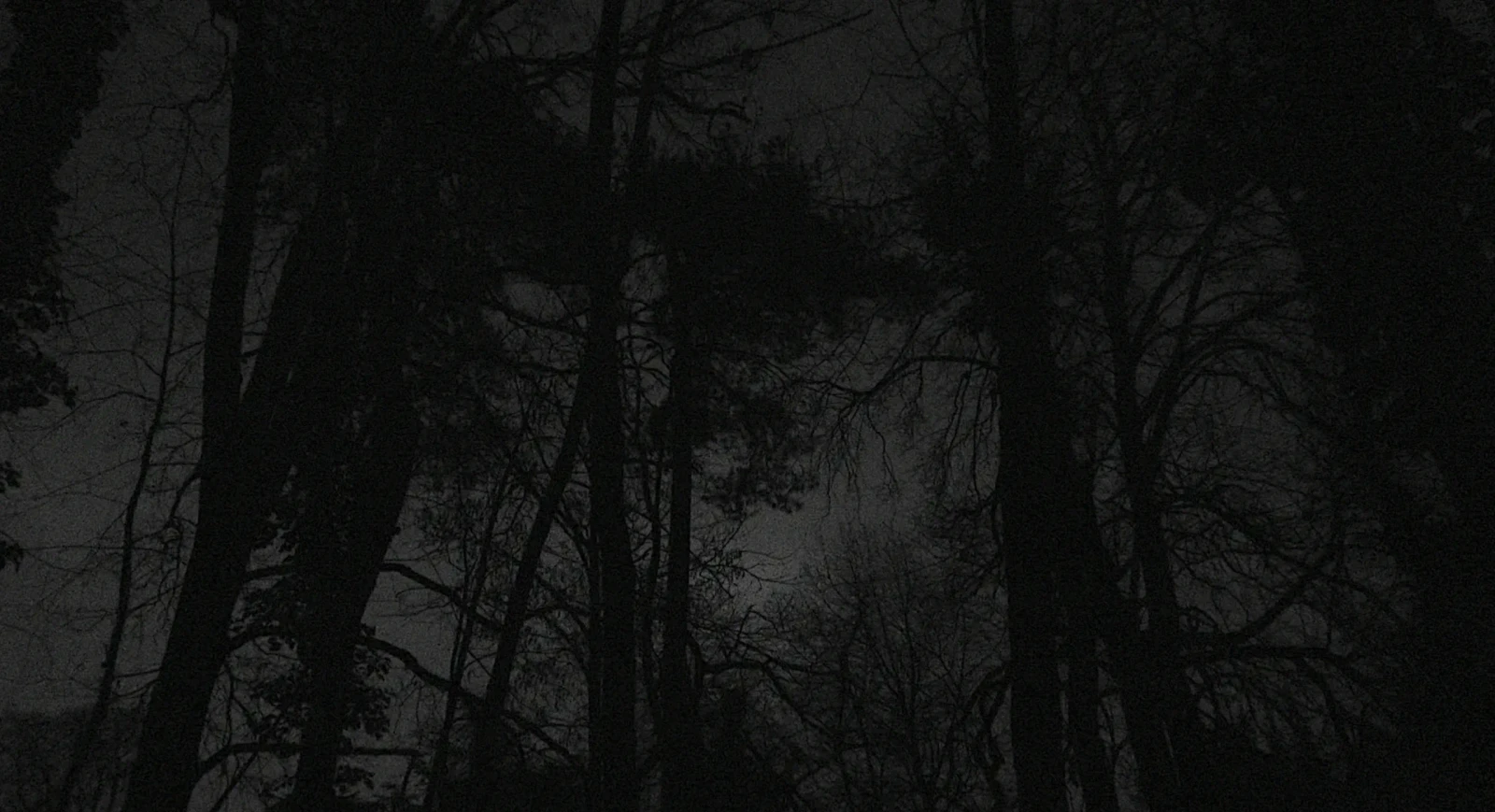 Obscure Night – “Ain’t I a child?”