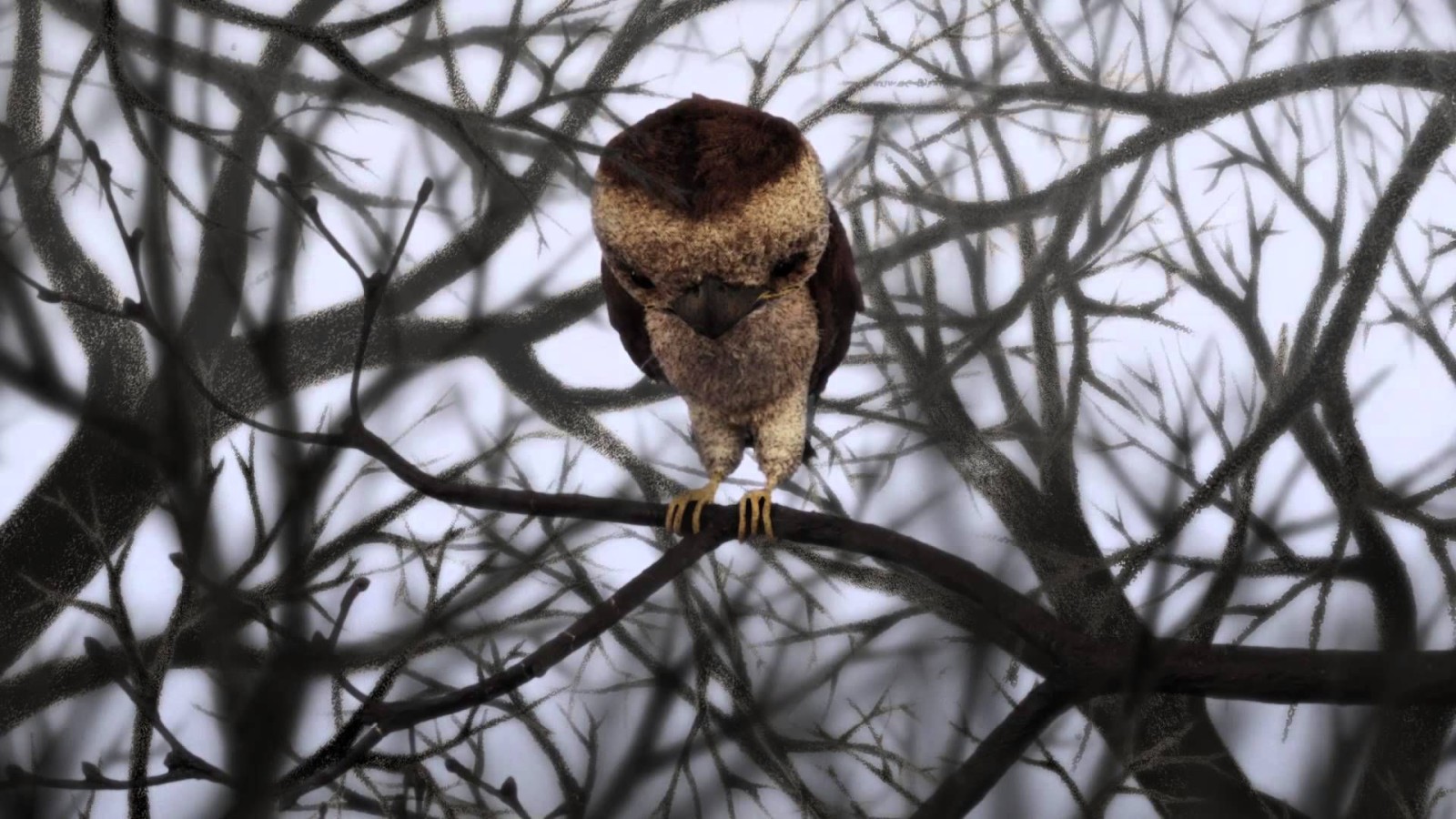 The Sparrow Who Knew How To Keep His Word