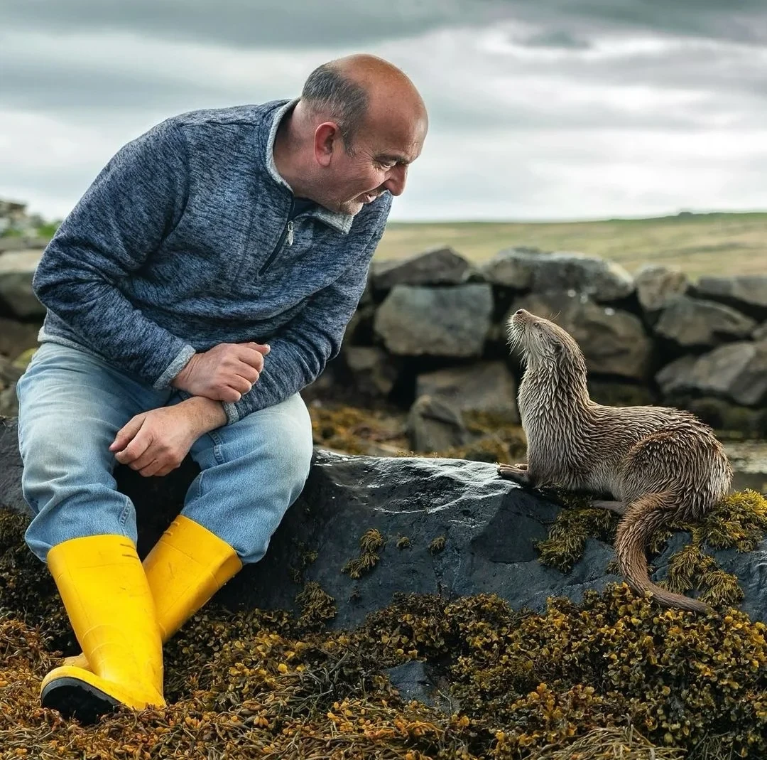 Billy & Molly: An Otter Love Story