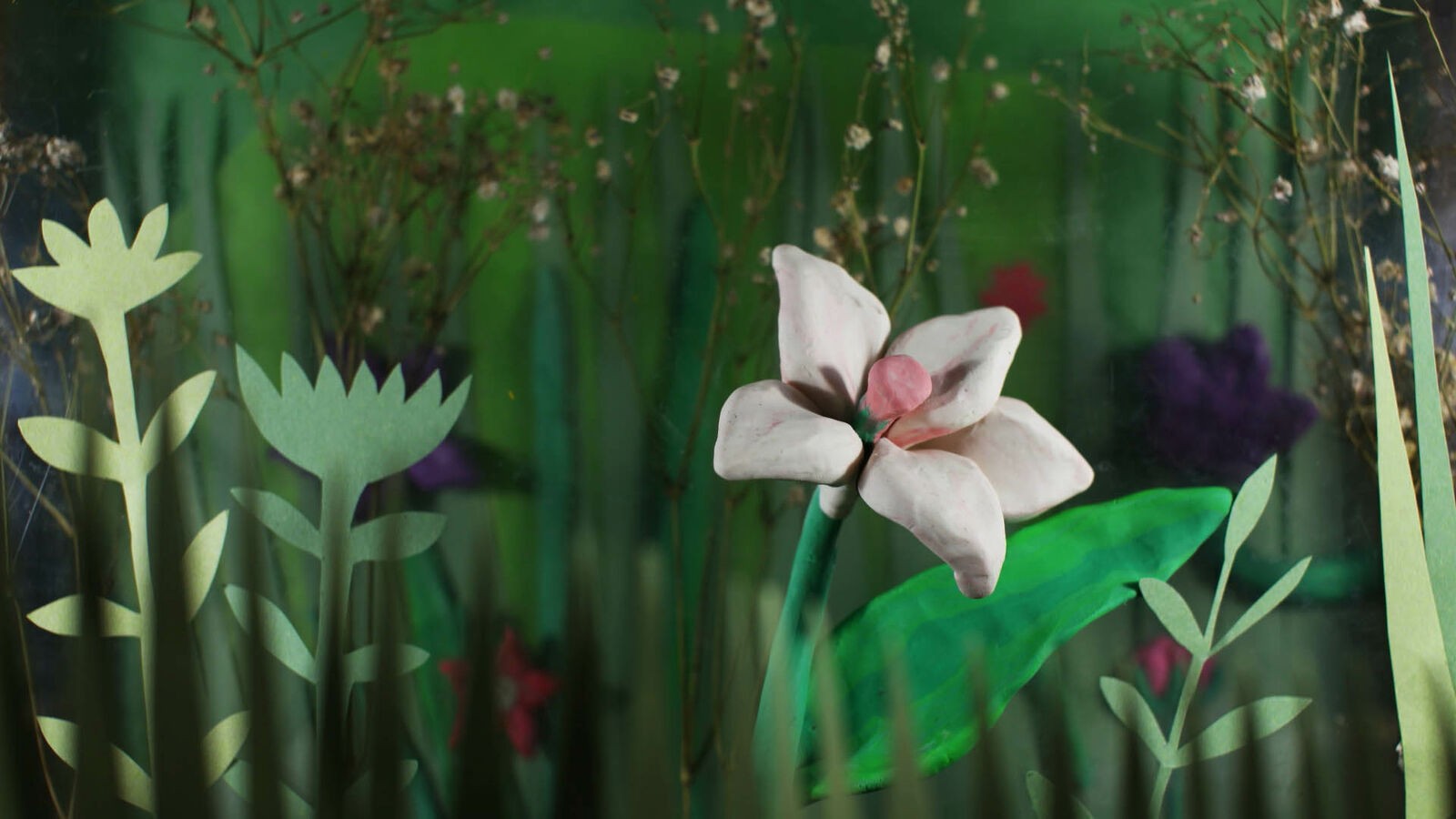 Blooming