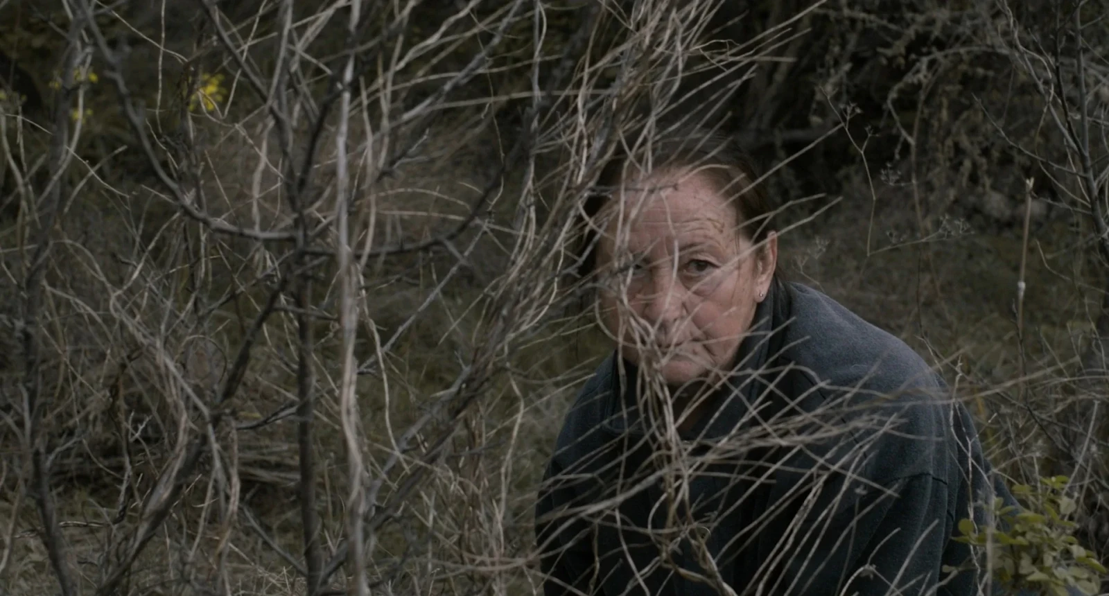 The Undergrowth