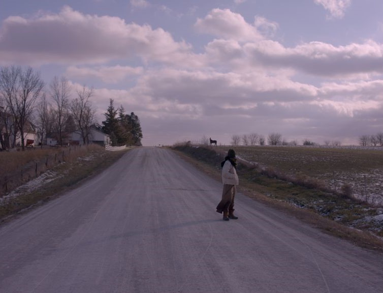 My Life is Wind (a letter)