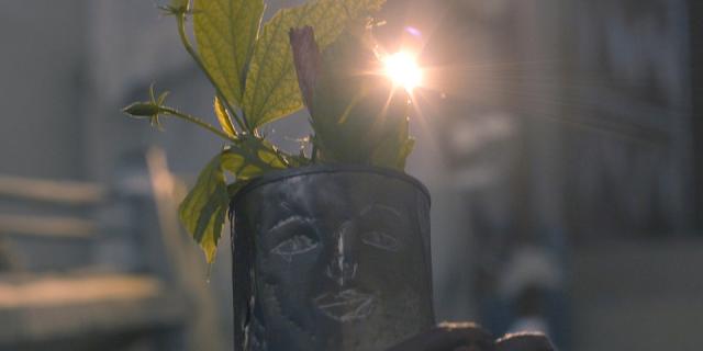 Three Leaves