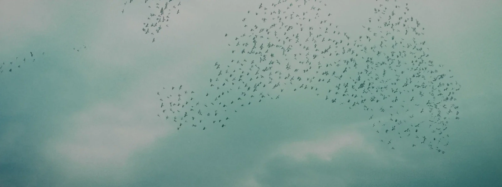 The Little Things That Moves The World