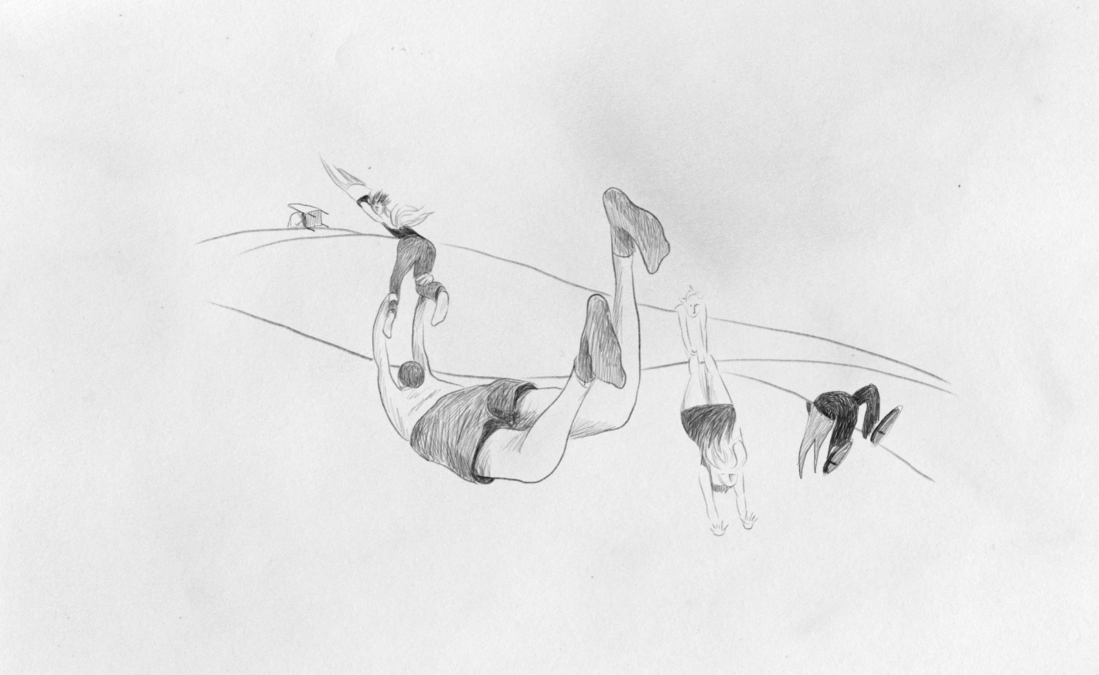Chasing Birds