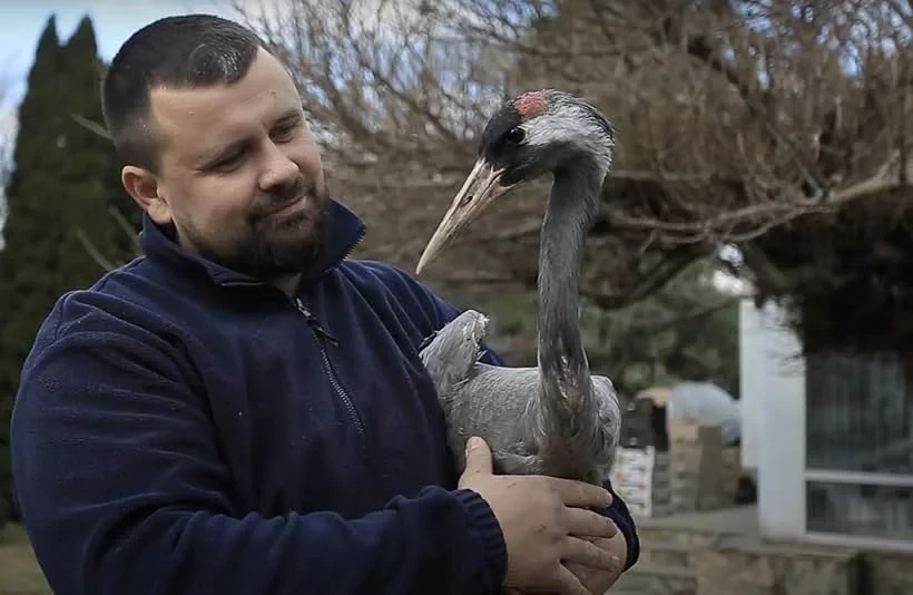 Checkpoint Zoo