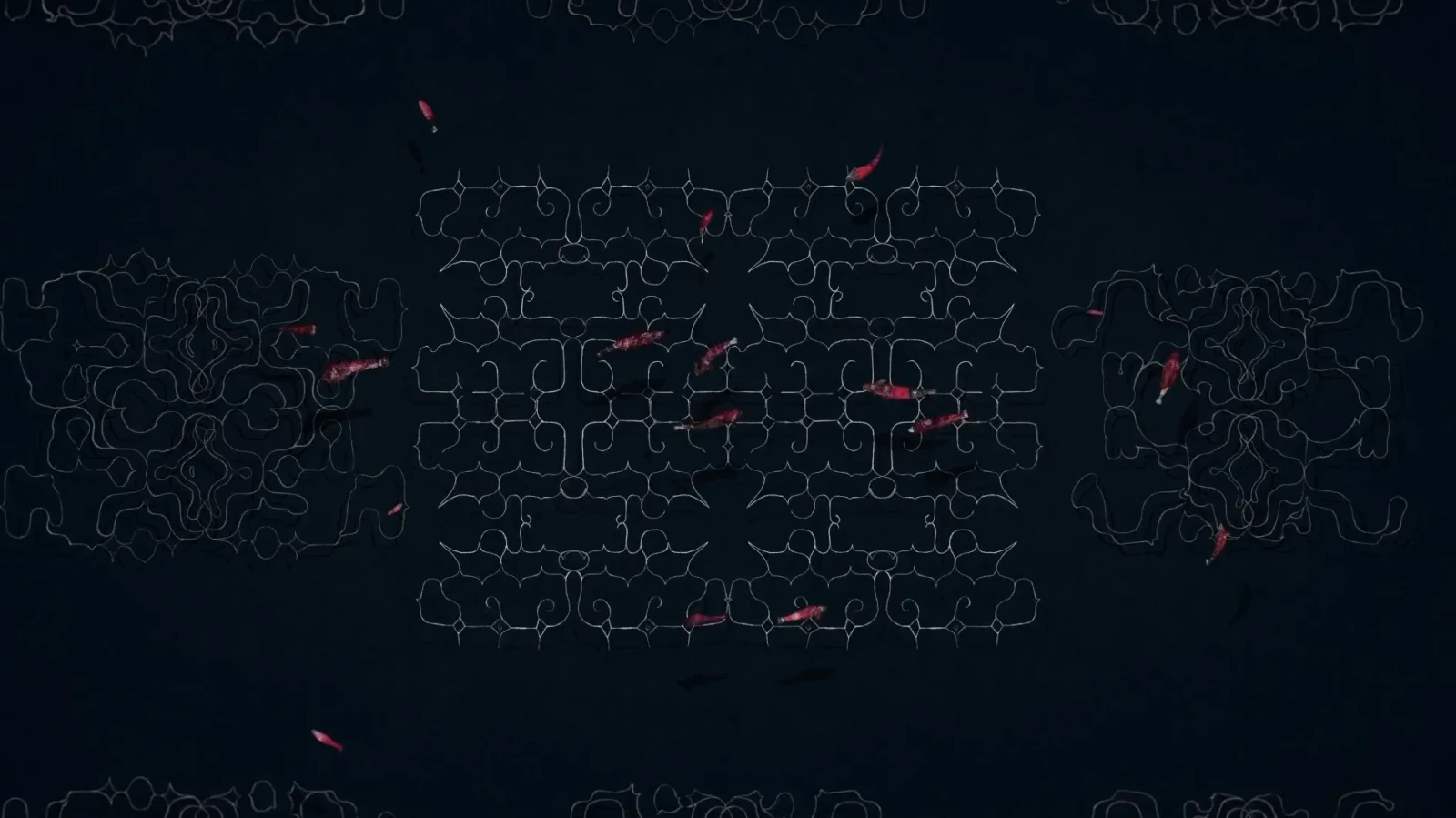 Ciciri