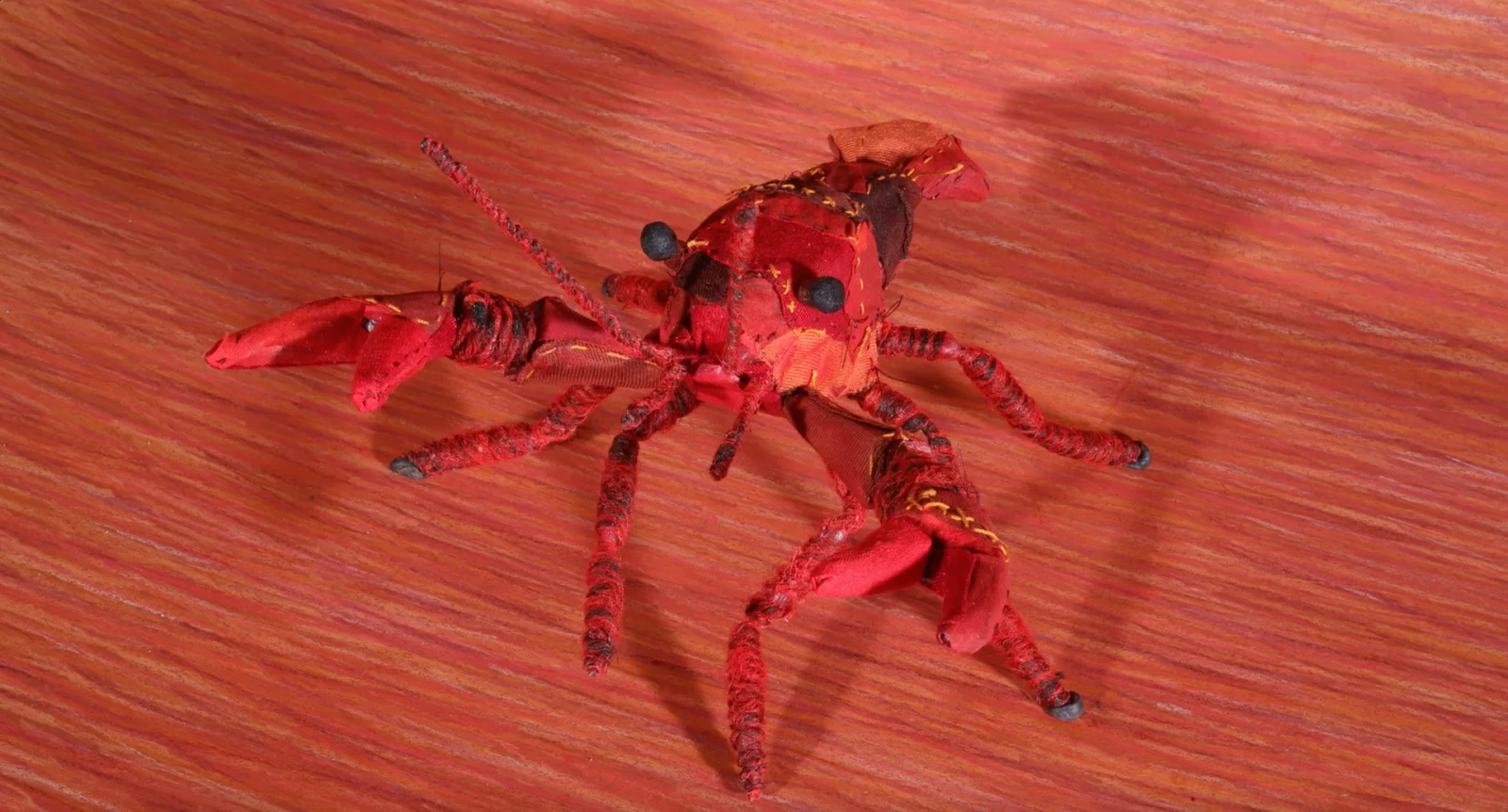 Clarkii