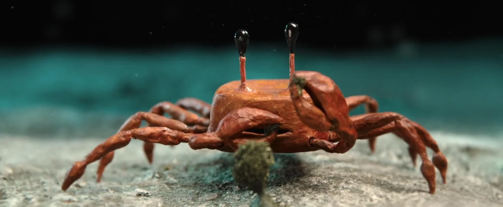 Crab