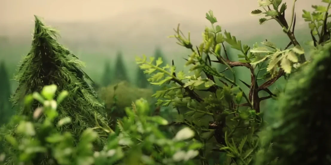 Does Planting Trees Actually Cool the Planet?