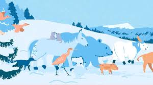 Animal Tales of Christmas Magic