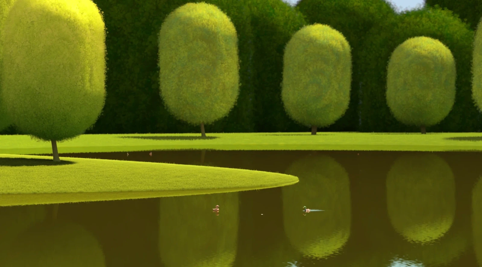 Ducks