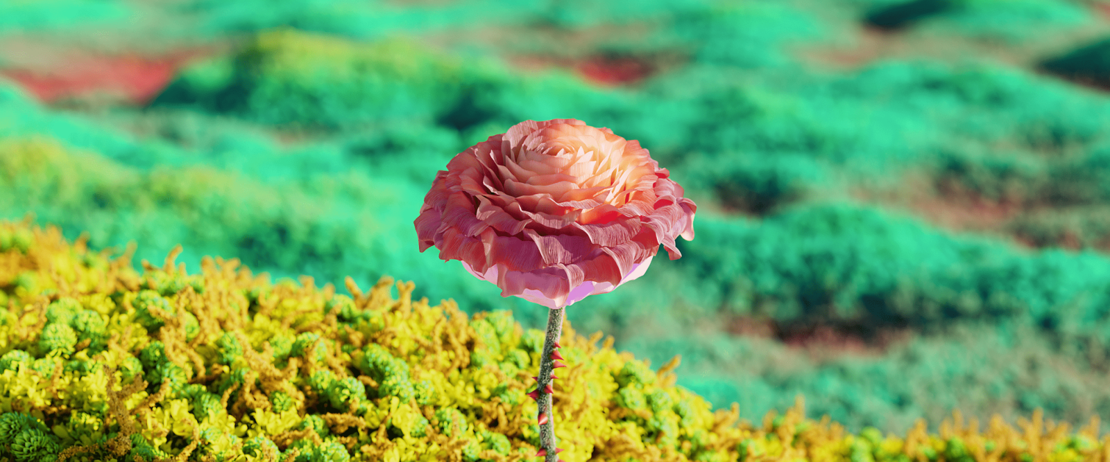 Flora