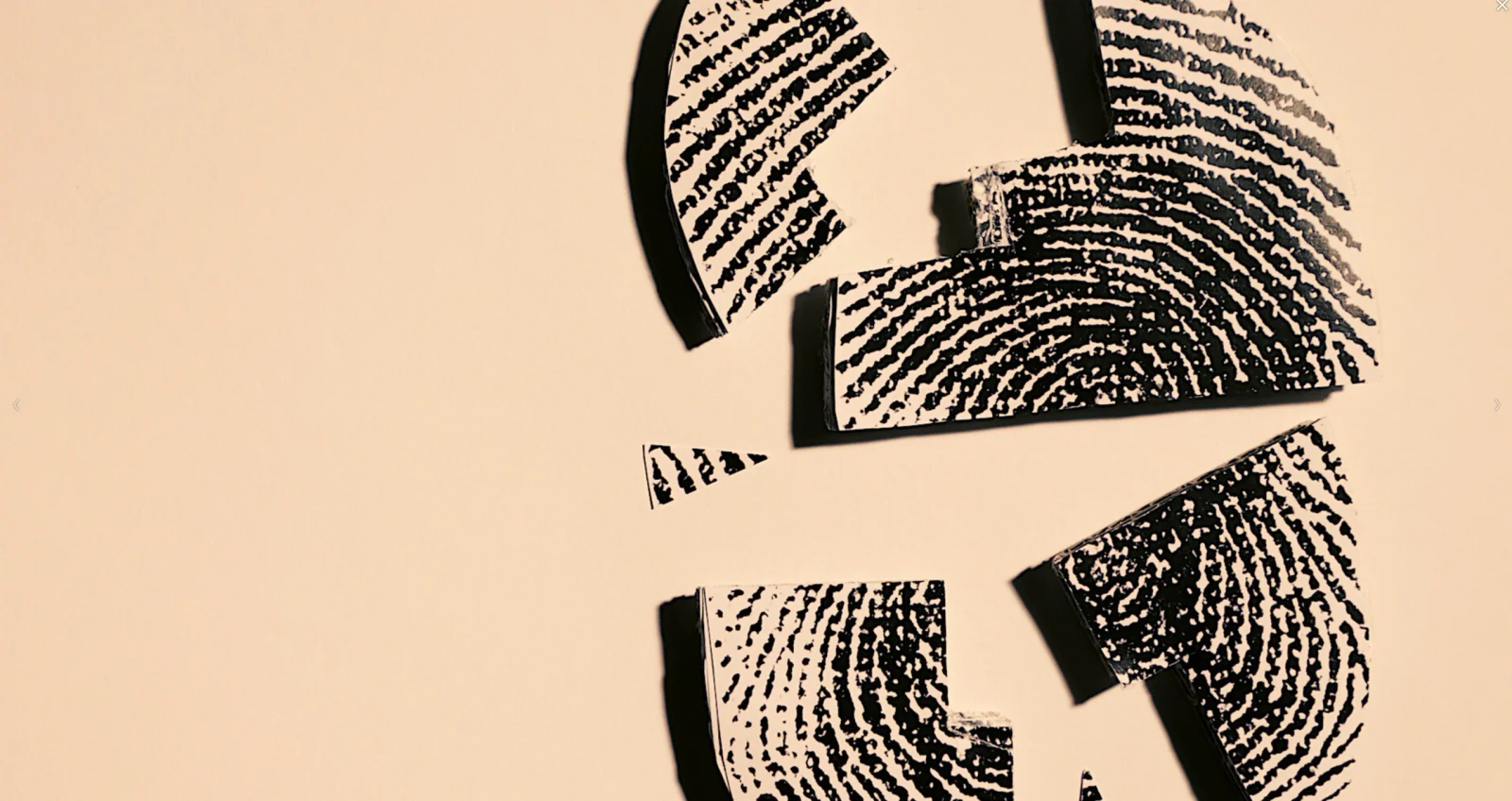 Fragmented Finger Prints