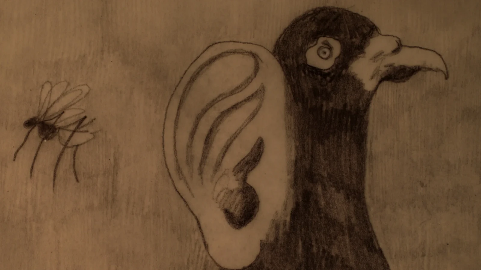 Embryo