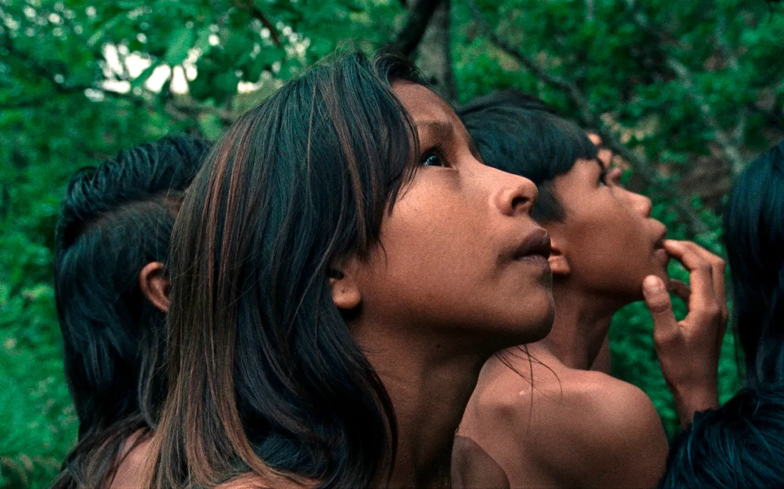 The Buriti Flower