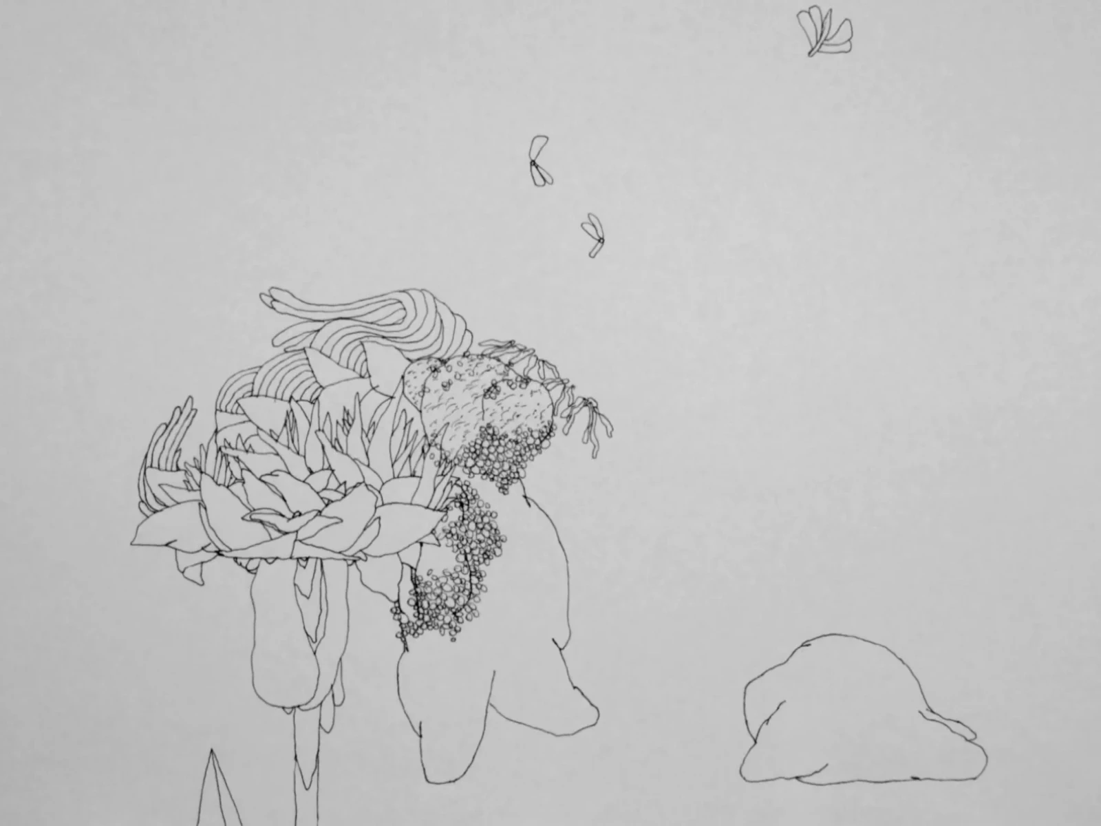 Deluge