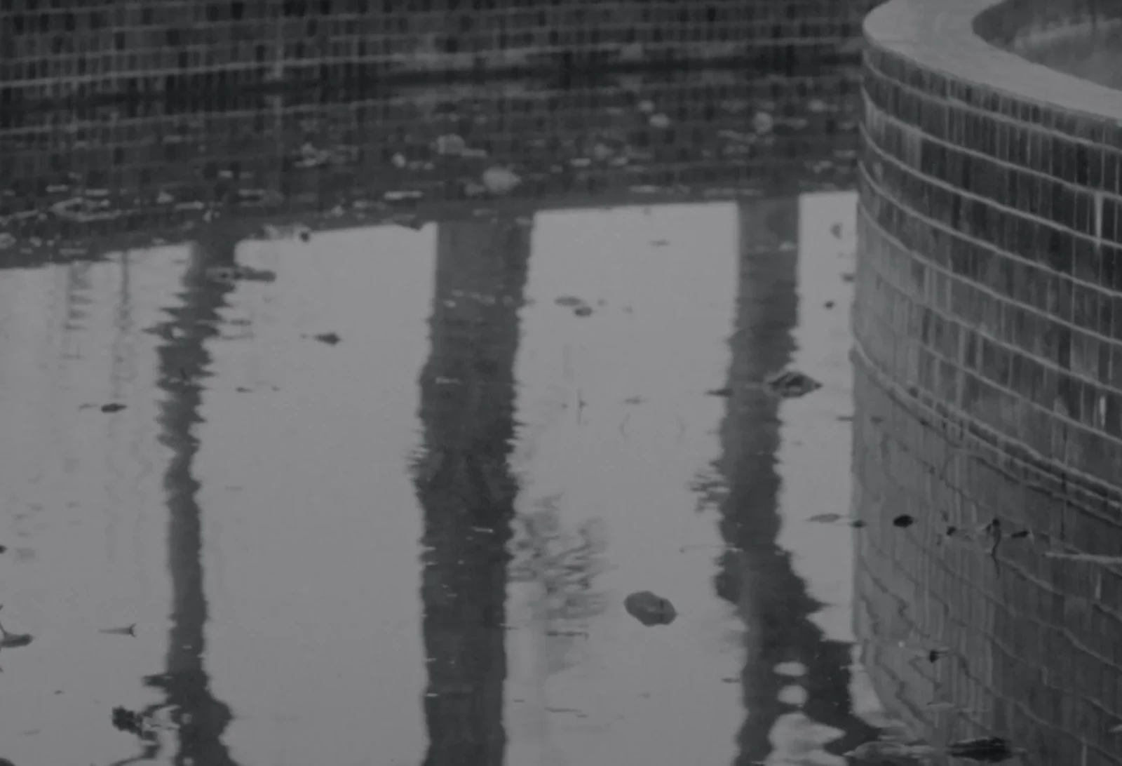 Fallen Noon