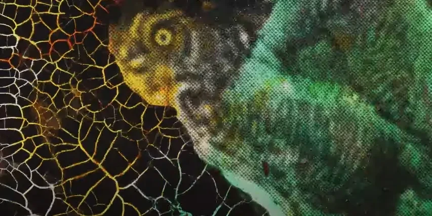 Federal Owl Commission