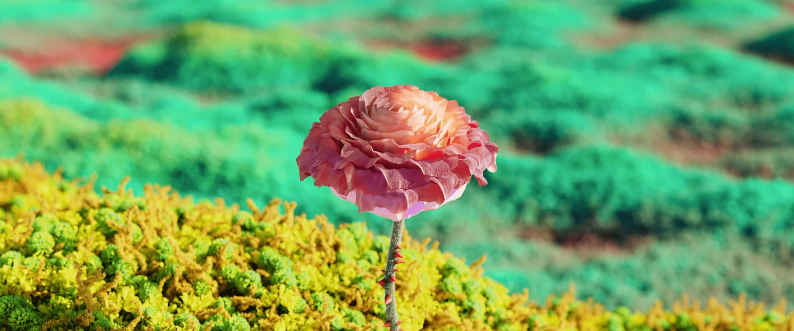 Flora
