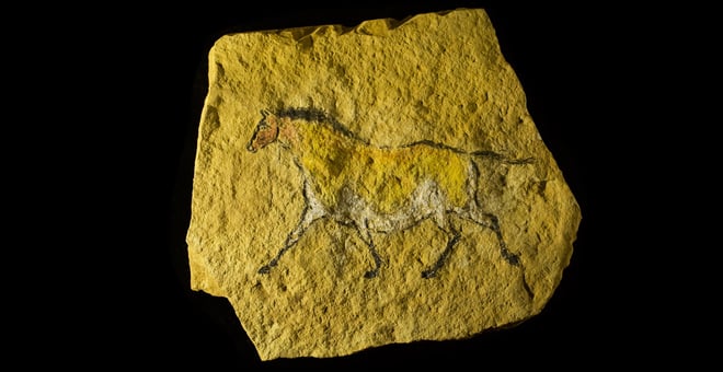 Horse Portrait