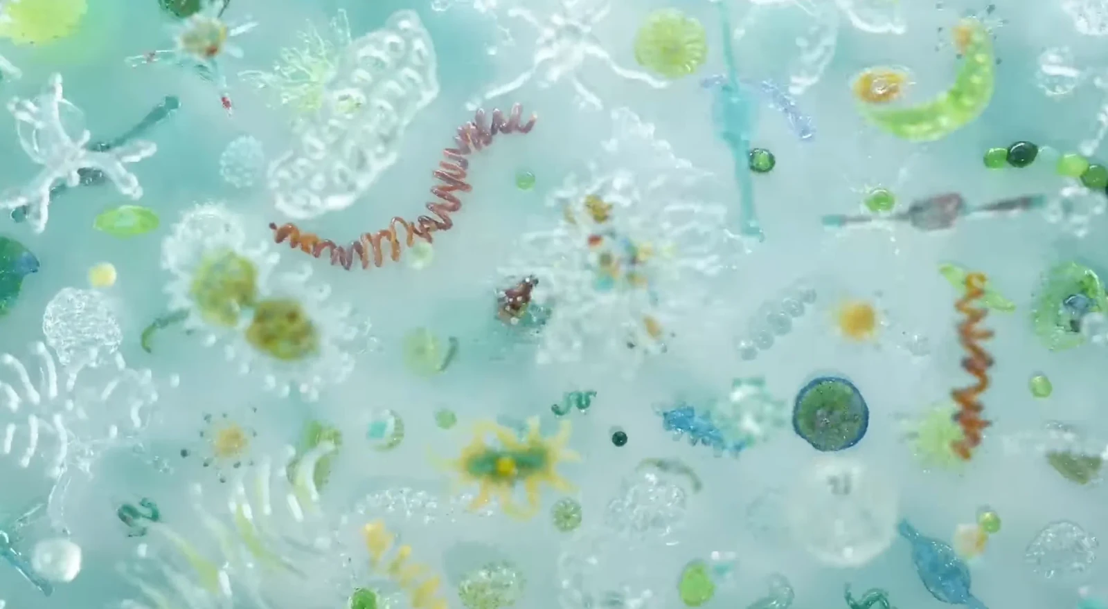Water's Time Slice