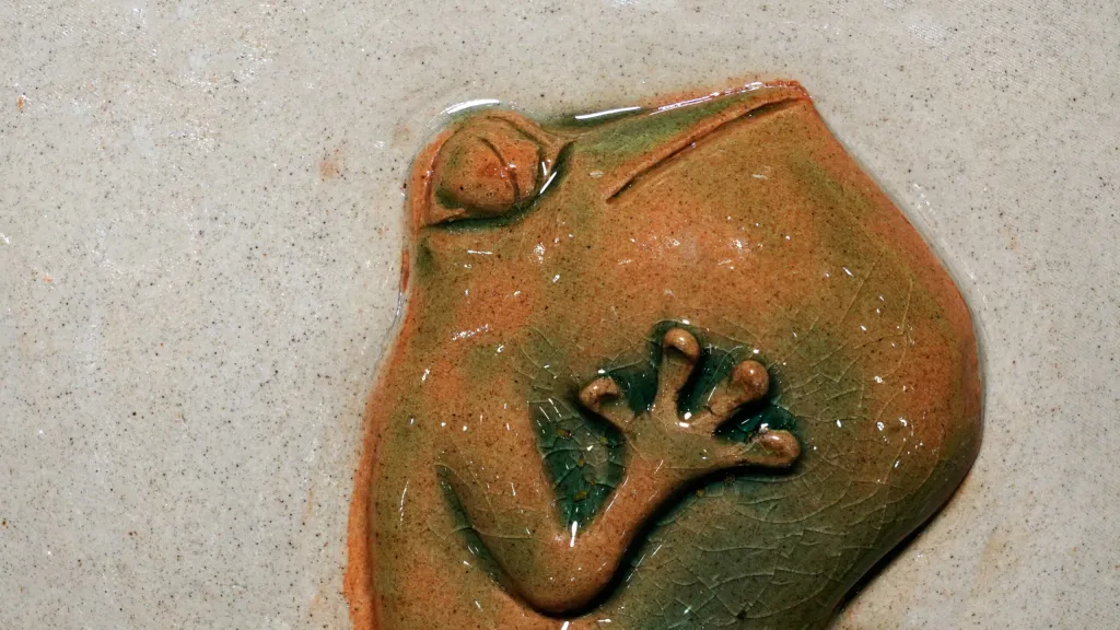 Frozen Frog