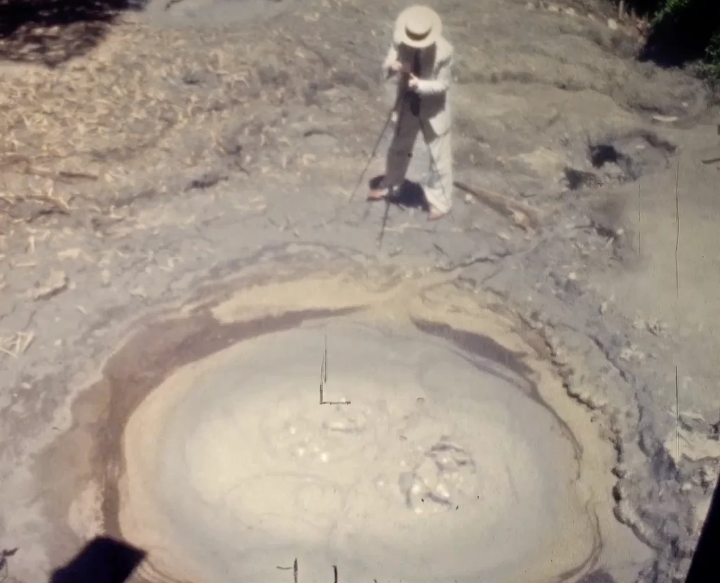 Amateur in the Moon