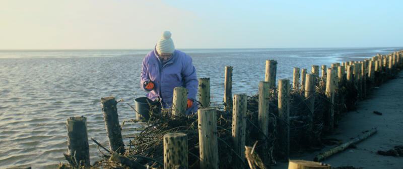 As the Tide Comes In