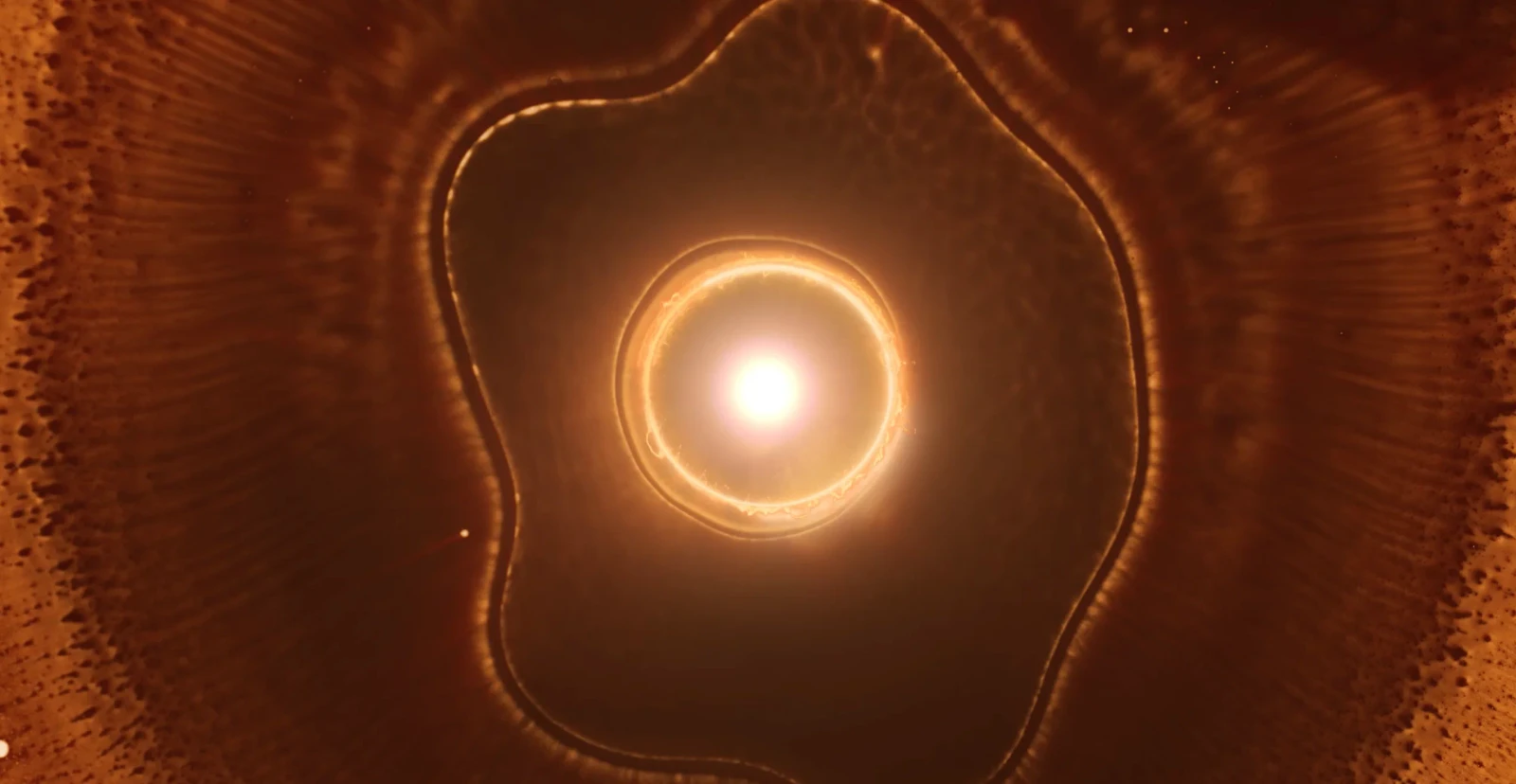 Stellar Iris