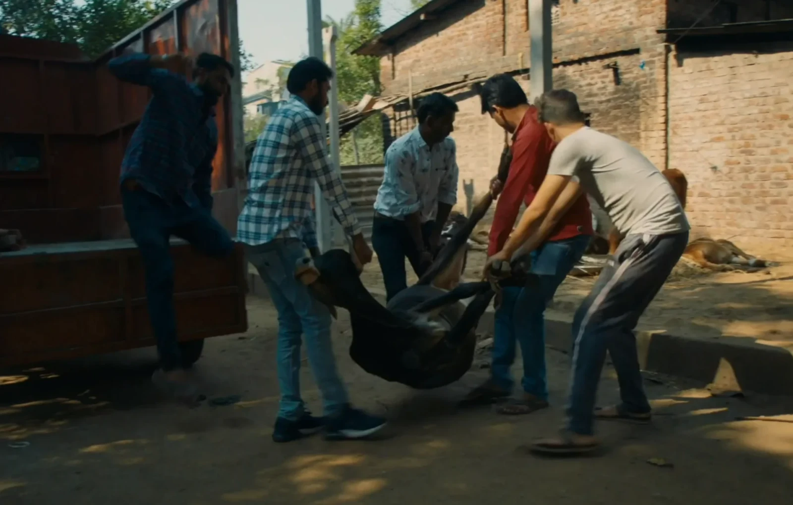 Holy Cowboys