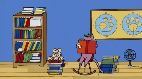 How do cats live?