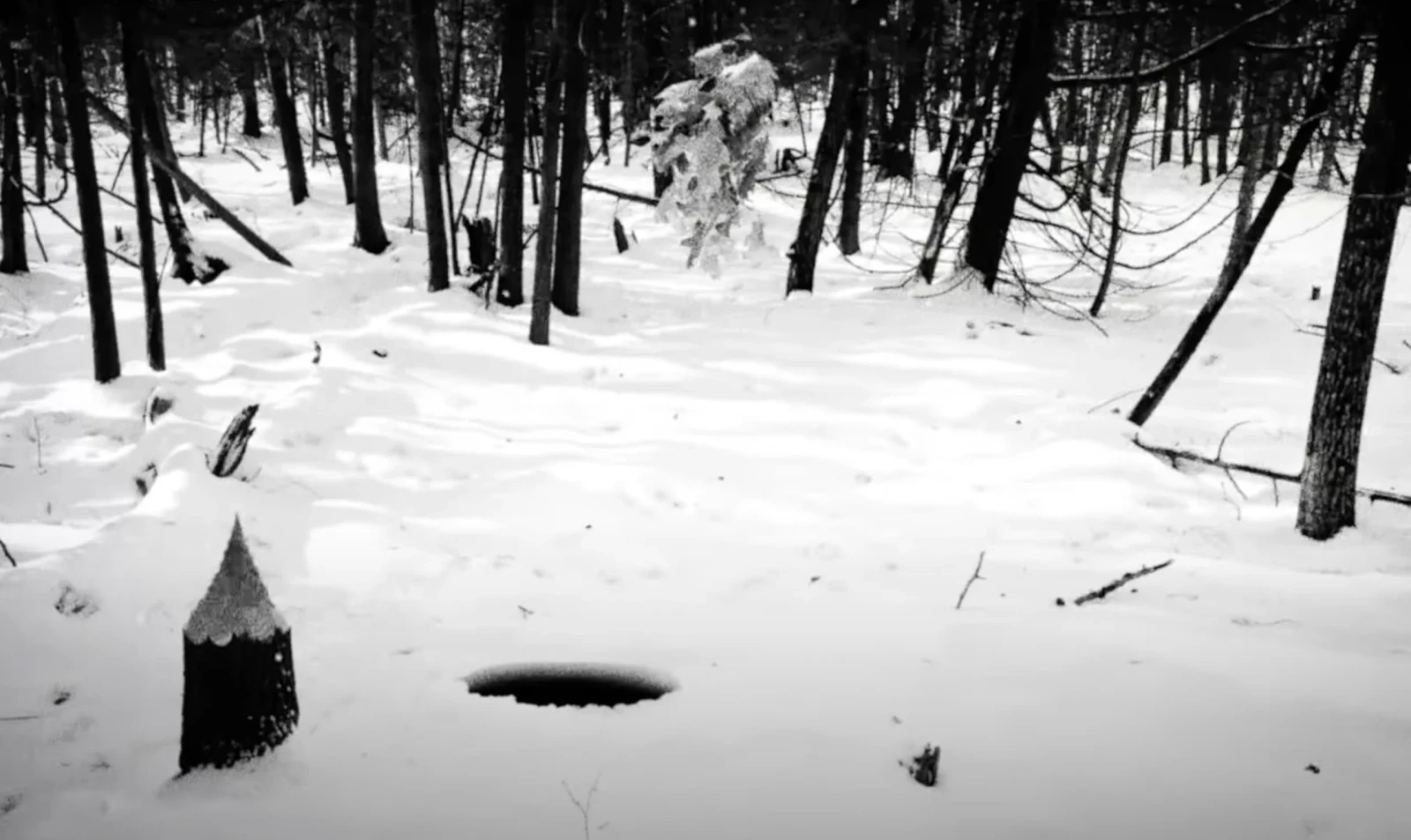 Hundreds of Beavers