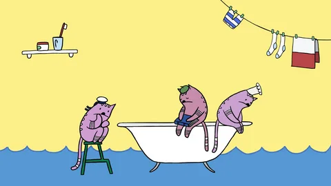 How do cats live?