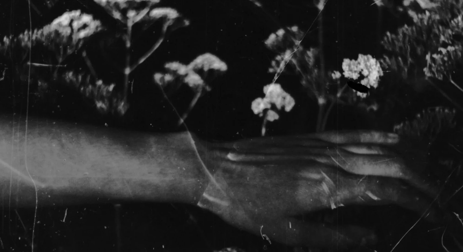 (for once I dreamed of you)