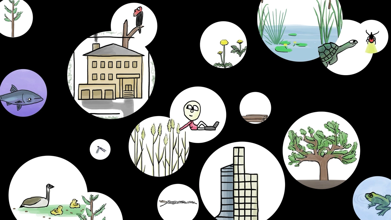 Humans Build The Biggest Nests