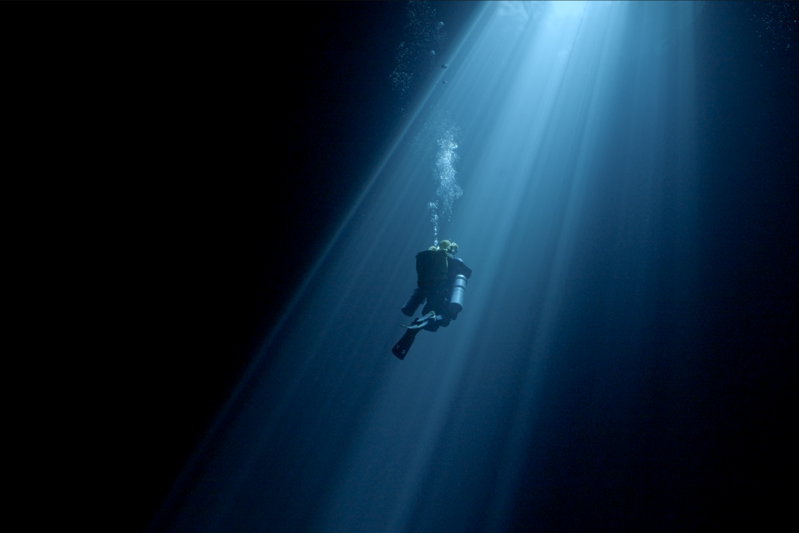 Diving Into The Darkness