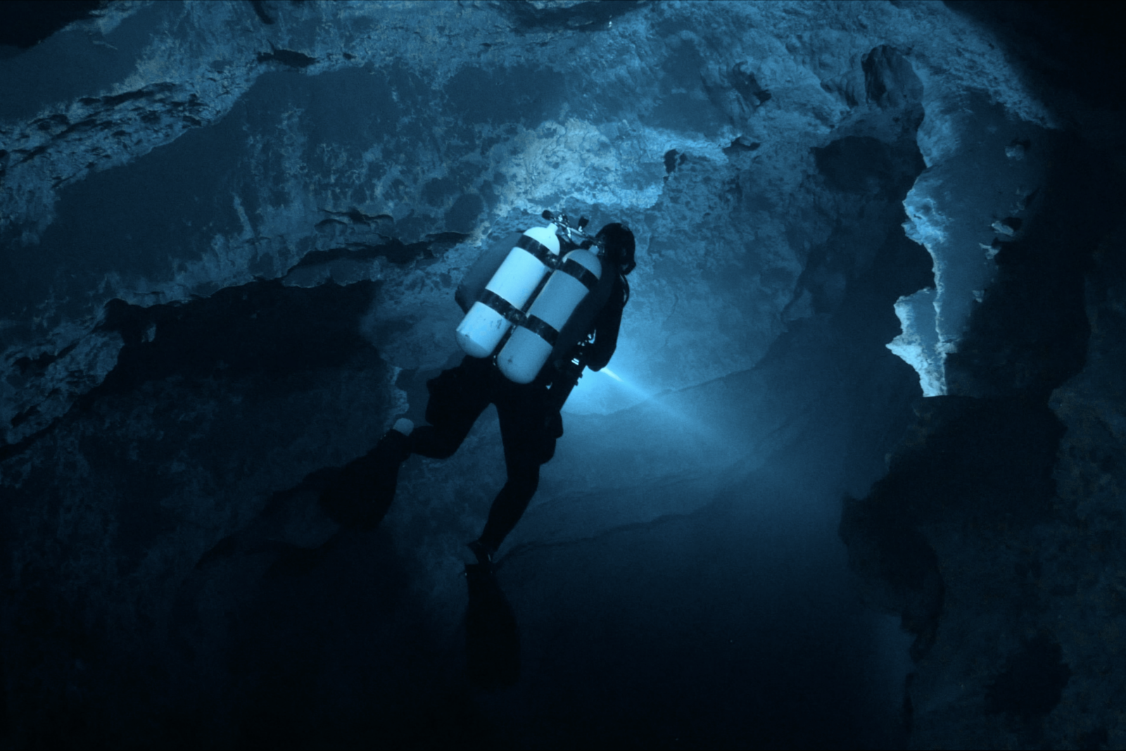 Diving Into The Darkness
