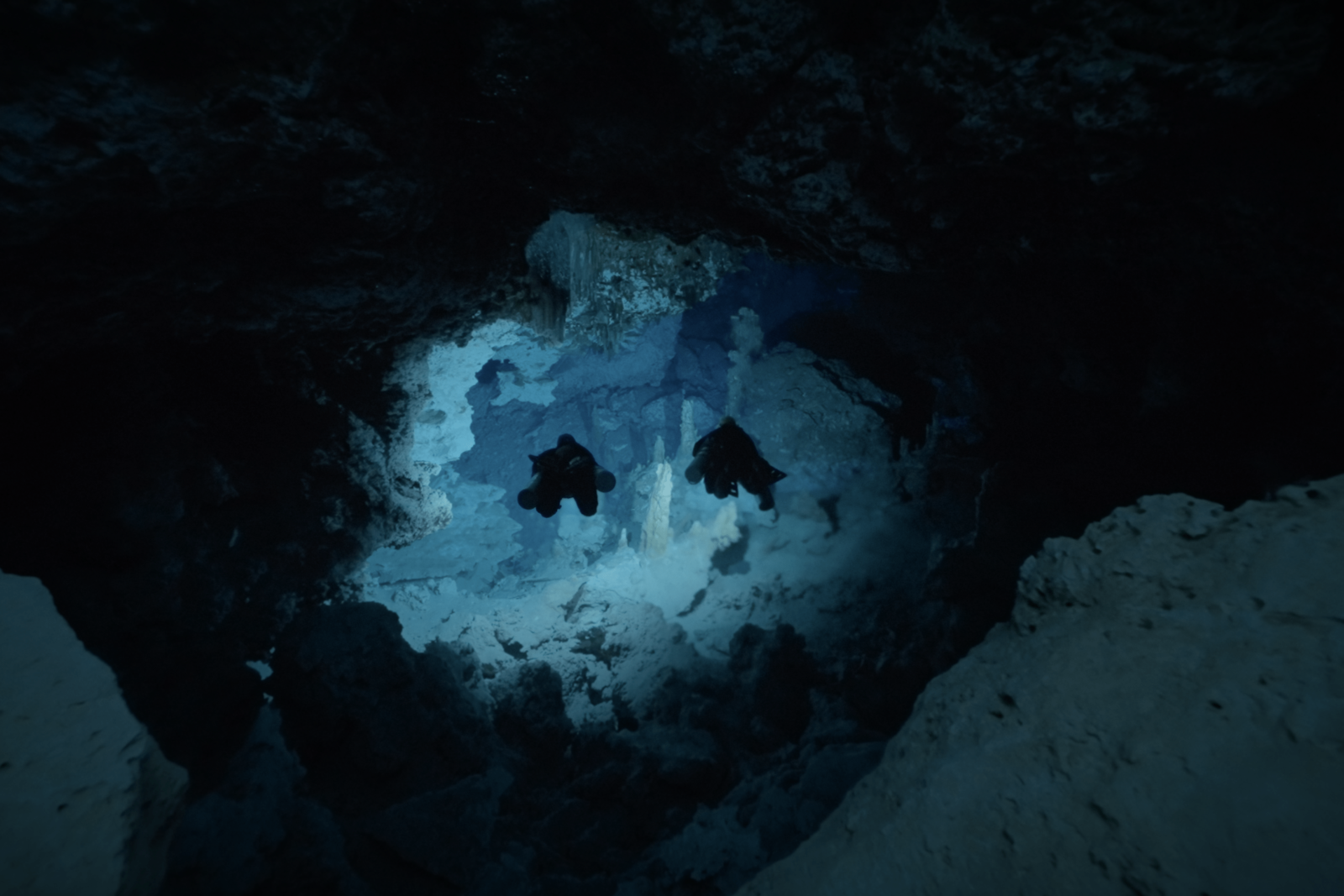 Diving Into The Darkness
