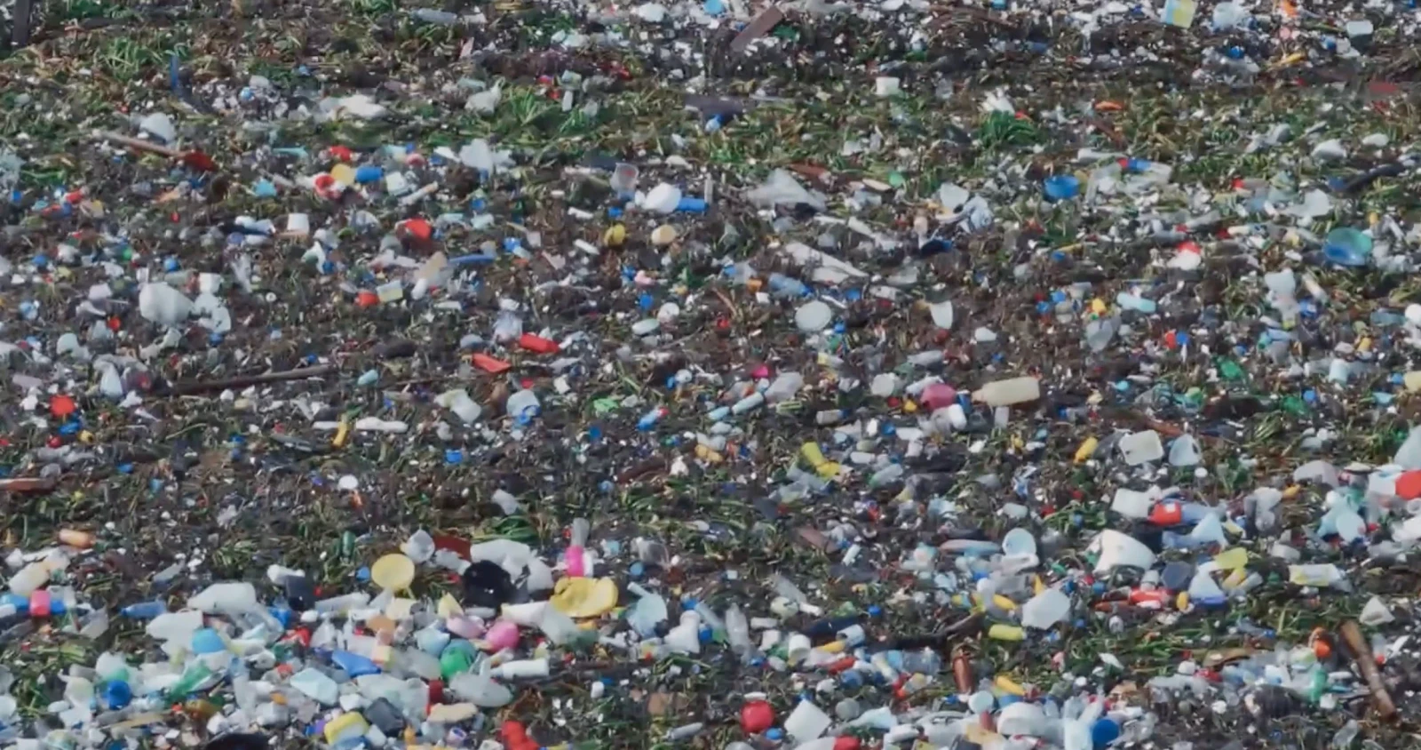Nick Cave’s Veiled World