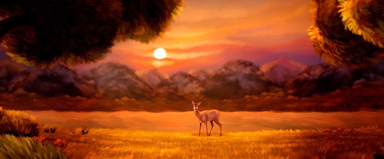 Une belle nuit d’été