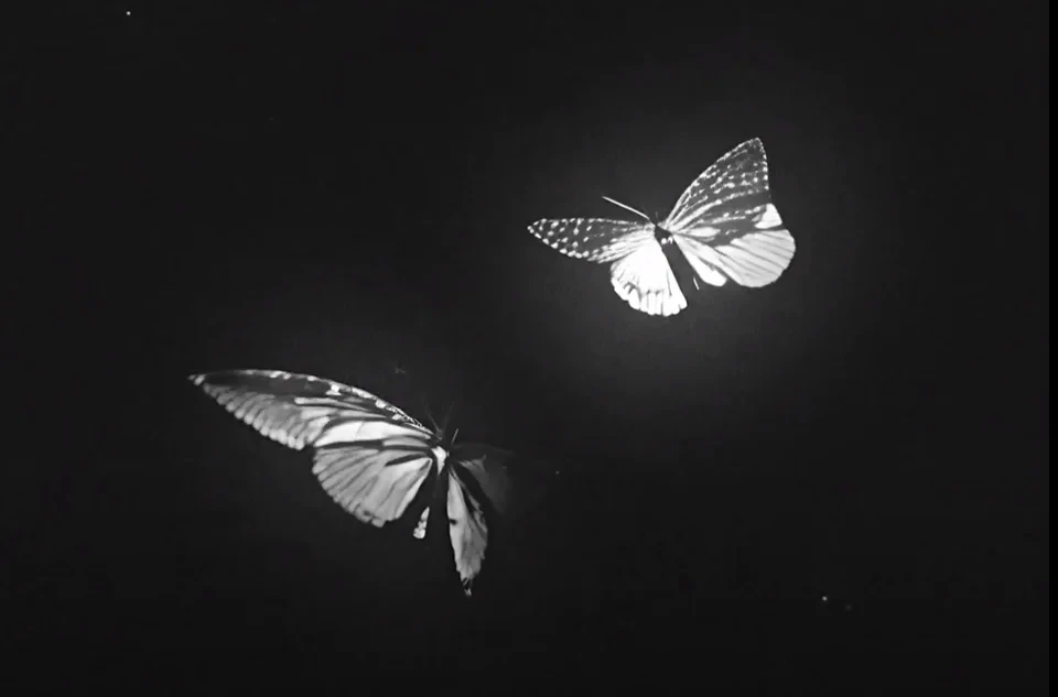 LAPSE