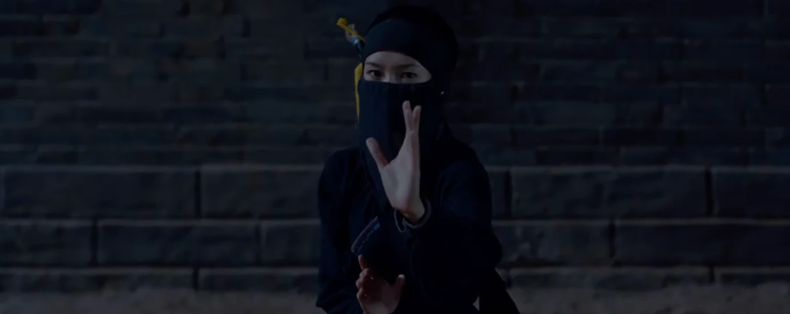 Crouching Tiger, Hidden Dragon