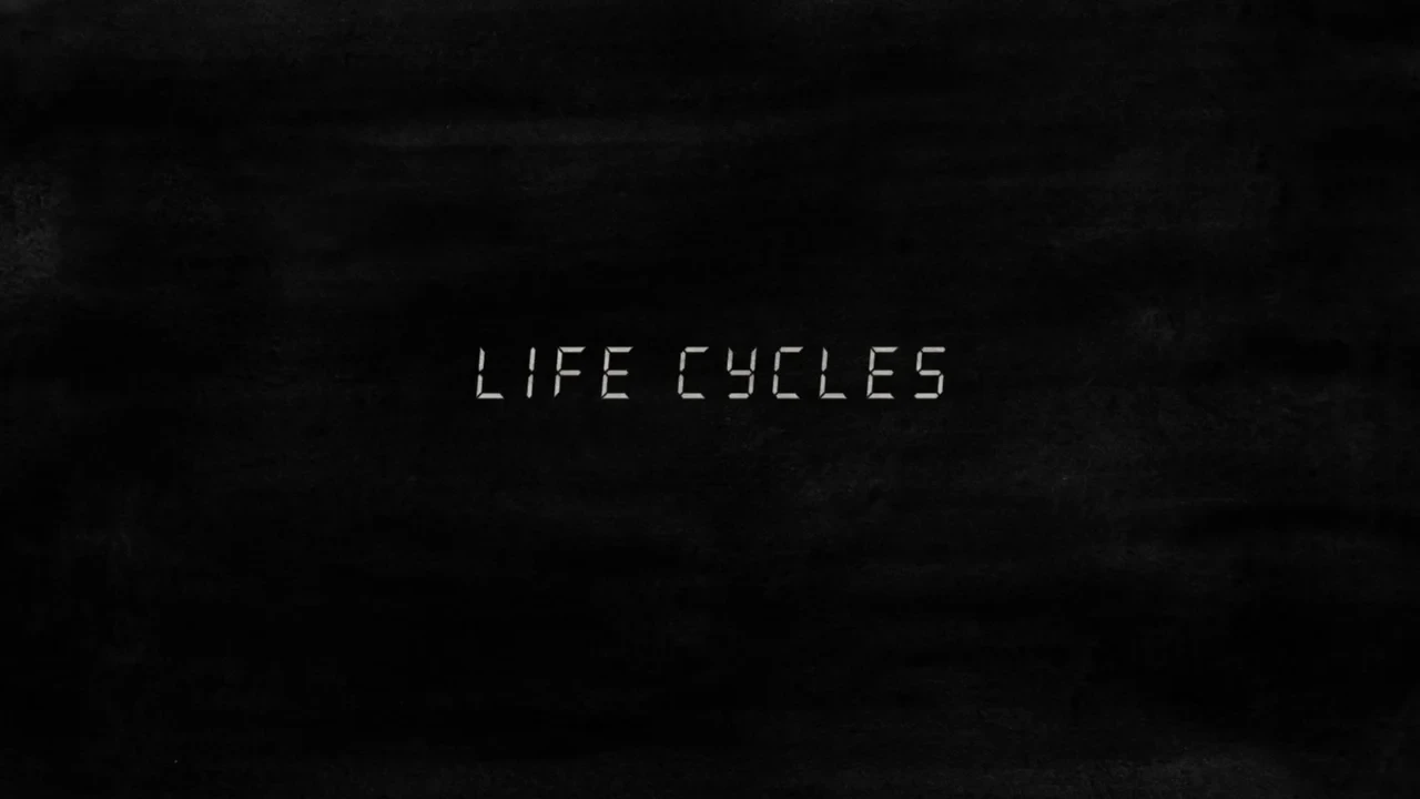Life Cycles
