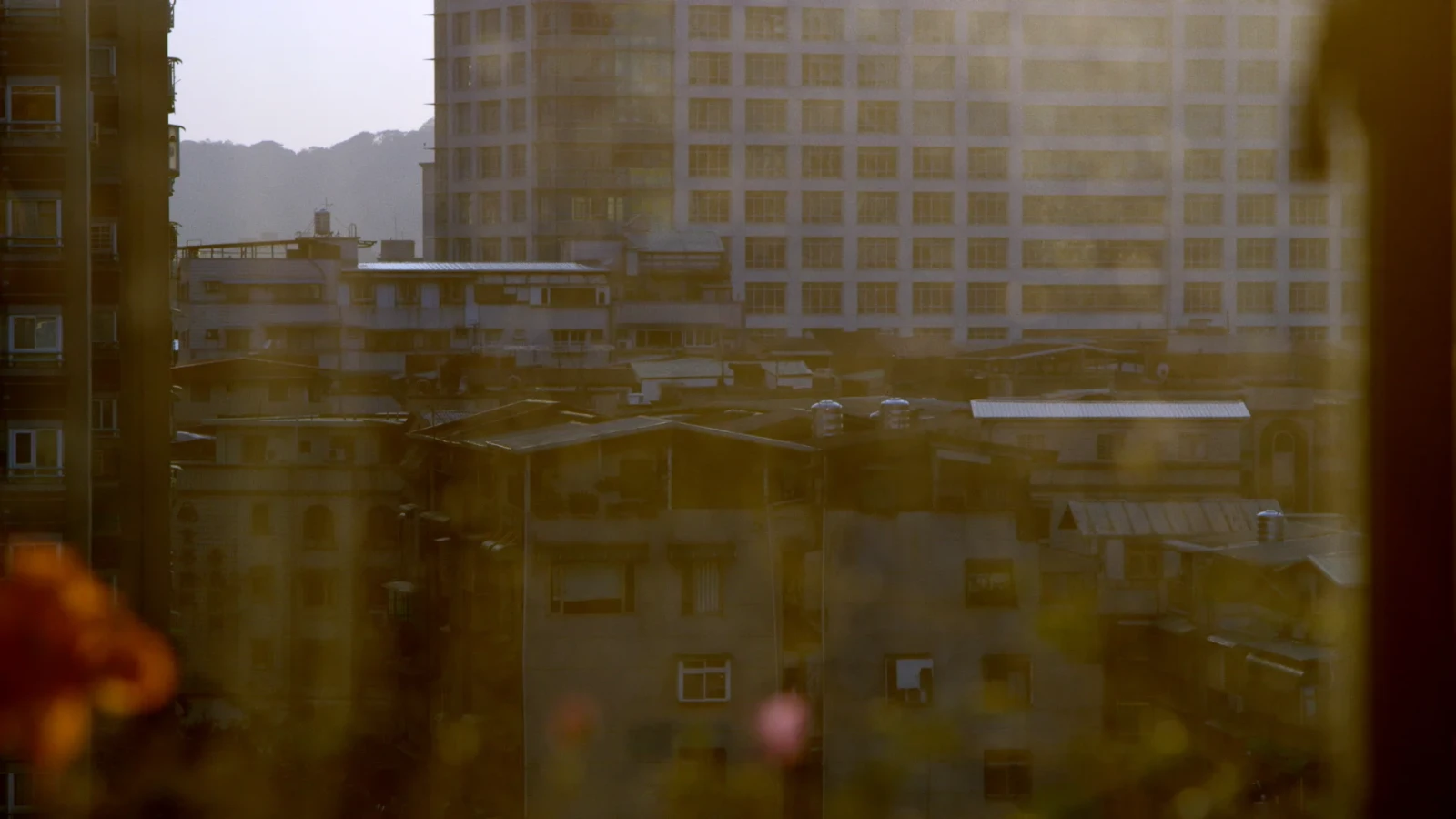 Light of the Setting Sun