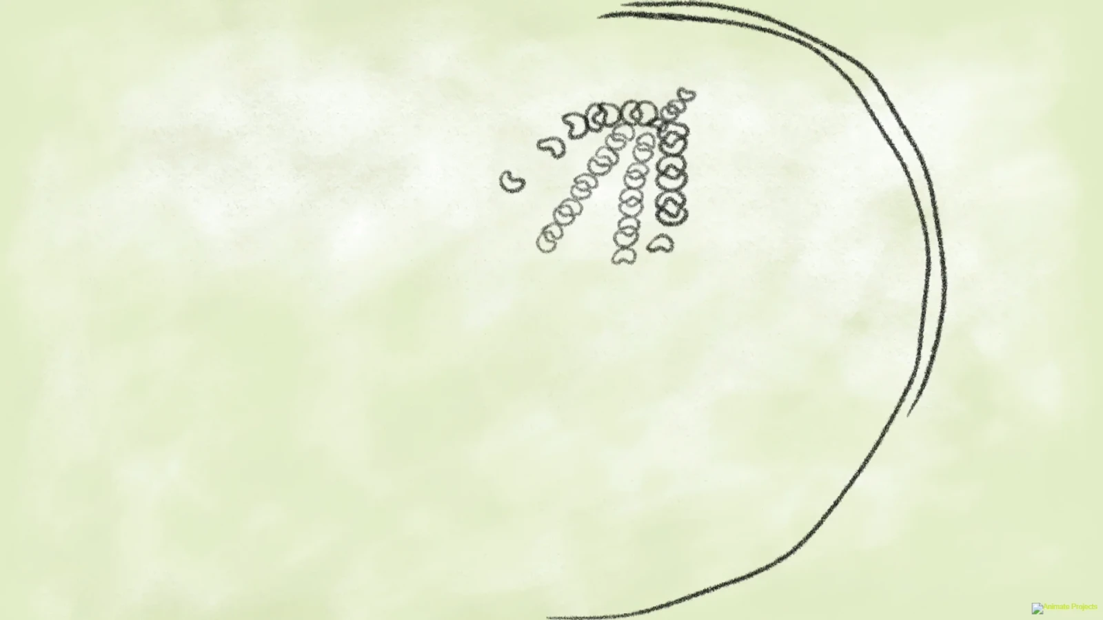 Loop