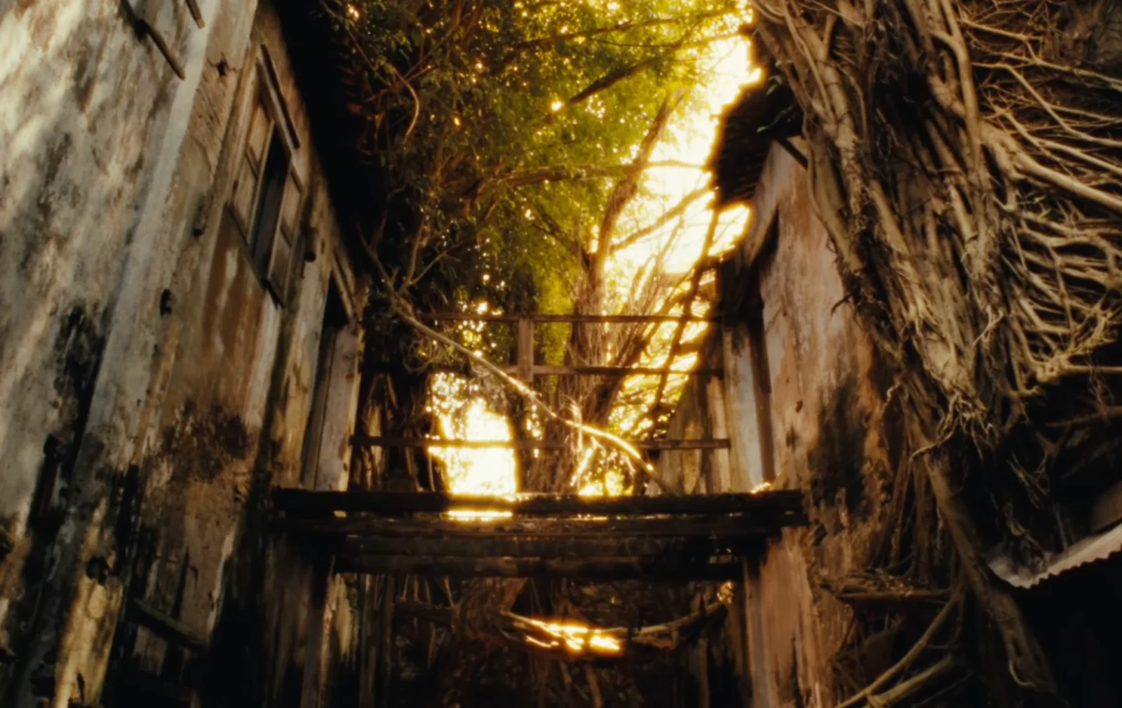 Lost Land